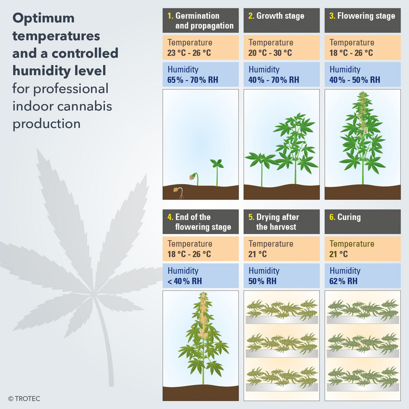 https://uk.trotec.com/images/optimum-temperatures-and-a-controlled-humidity-level-for-professional-indoor-cannabis-production-e71e.jpg