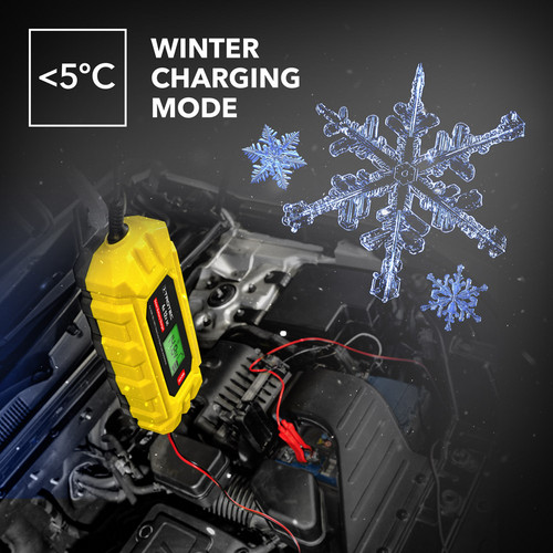 PBCS 4A – winter charging battery