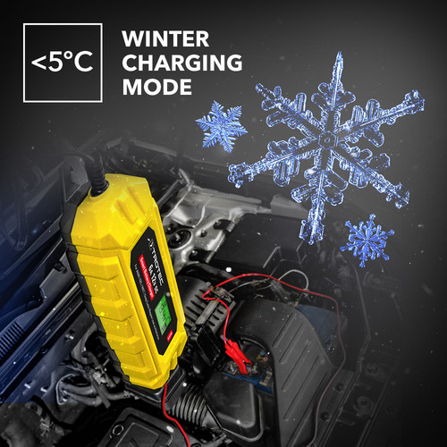 PBCS 6A – winter charging battery