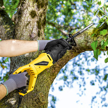 PRCS 10-850 – Cutting off branches