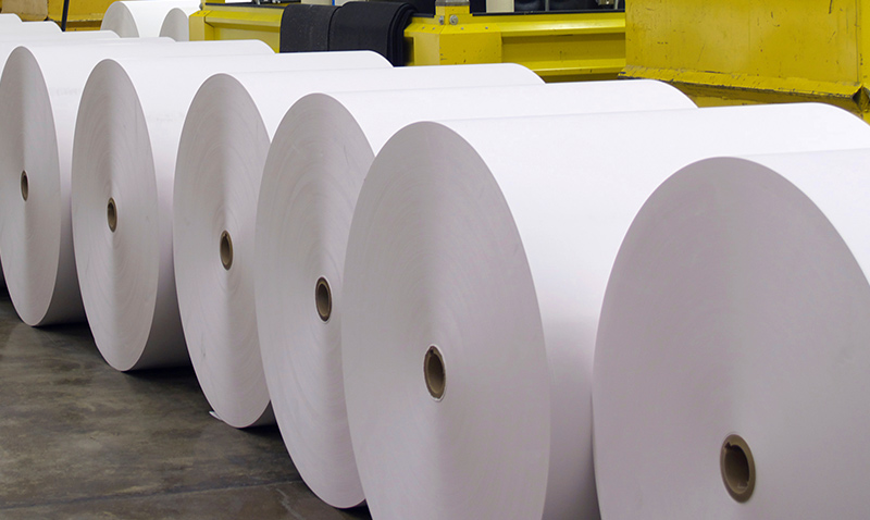 Pulp, paper and printing industry-Trotec