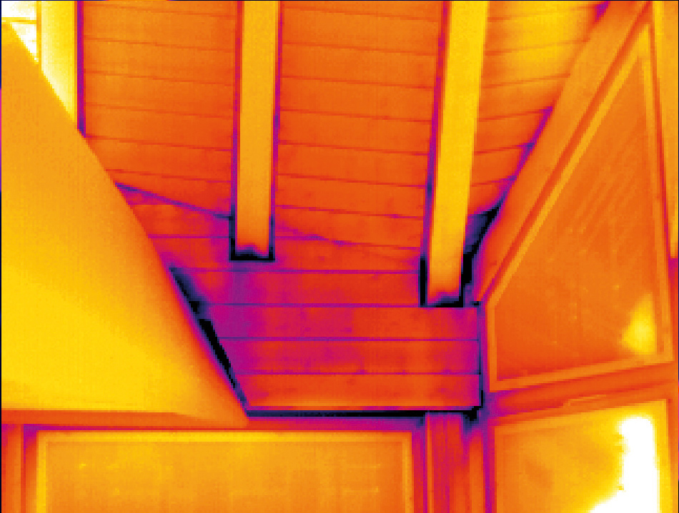 Thermography with the XC300
