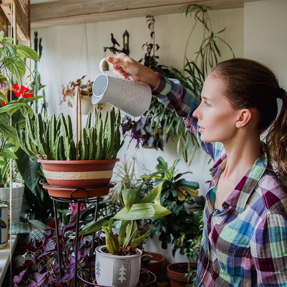 Ultrasonic humidifier B 5 E – Green fingers