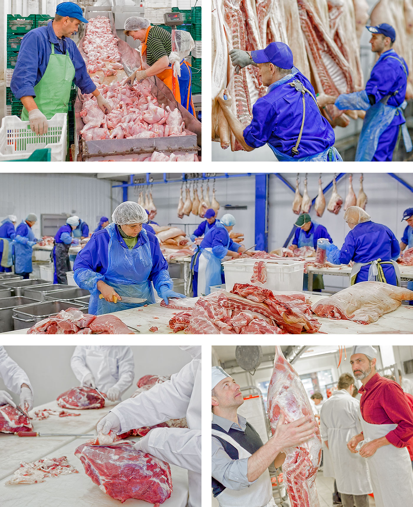 Virus-free air in slaughterhouses virtually decreases the airborne risk of infection to zero