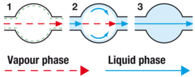 Water transport mechanisms in mineral building materials